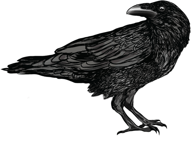 Viking raven